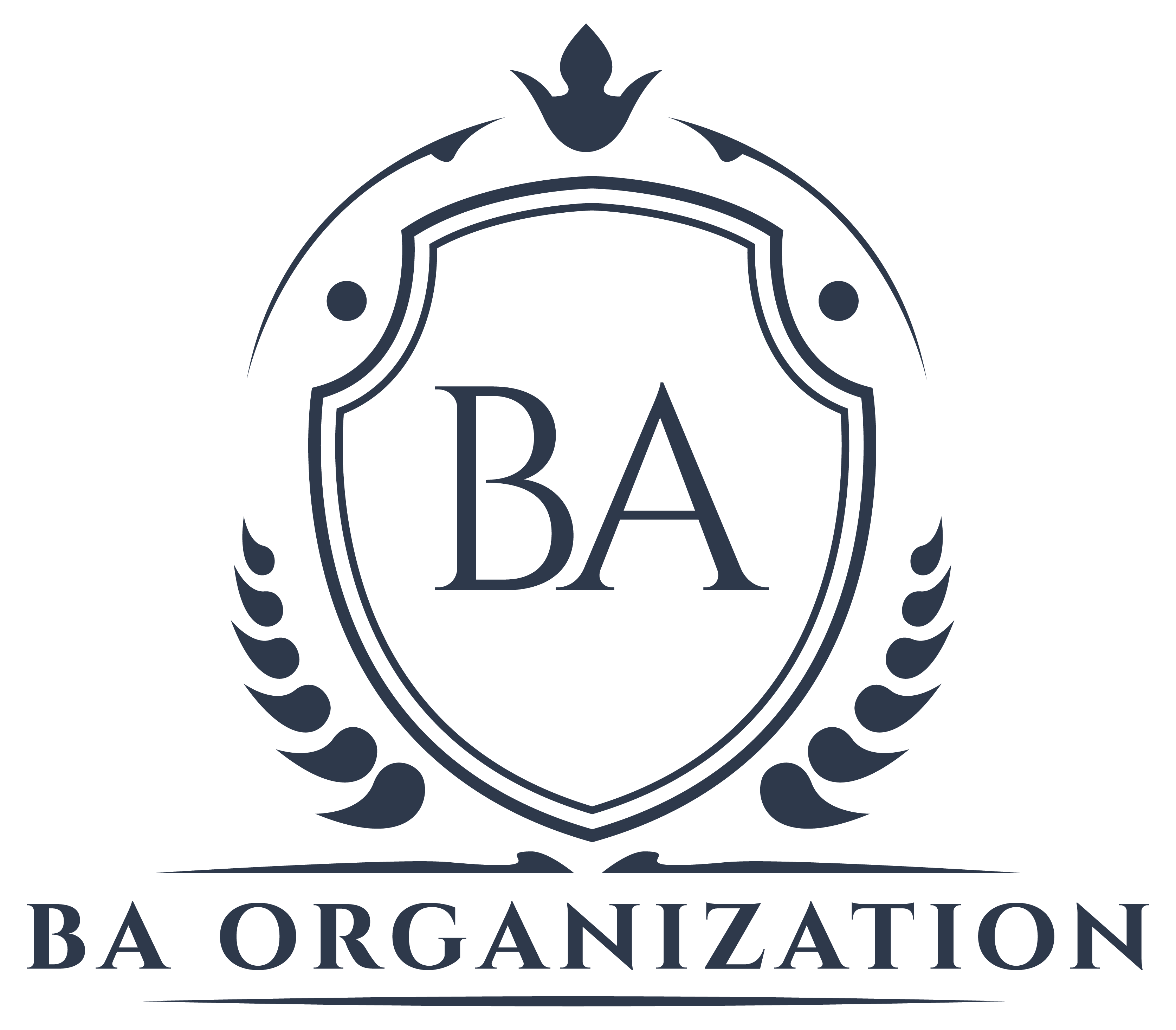 BA Organization